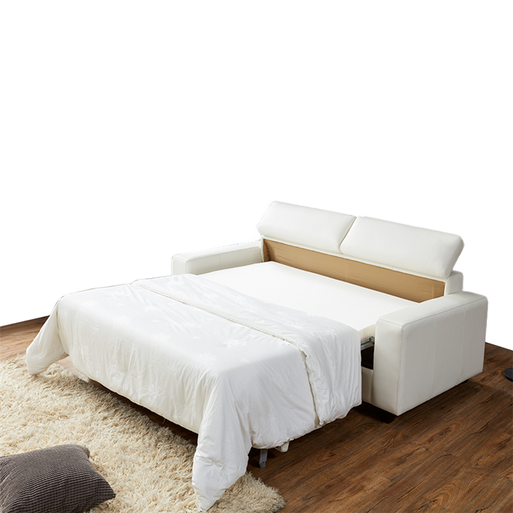 Queen Sofa Couch